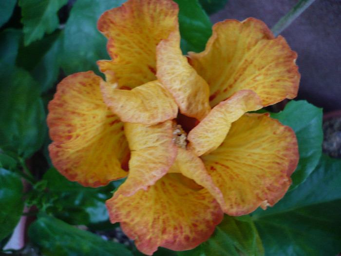 P1160589