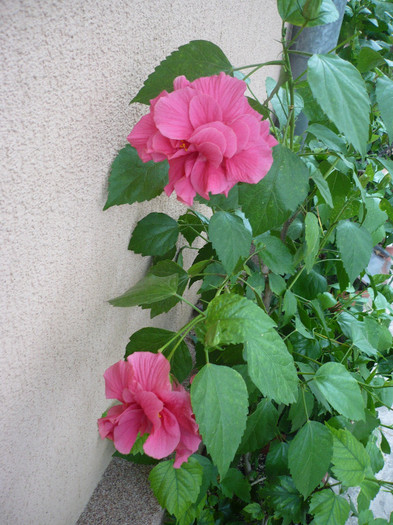P1160596