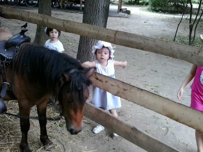 2012-07-31 12.56.26