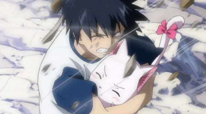  - Gray Fullbuster