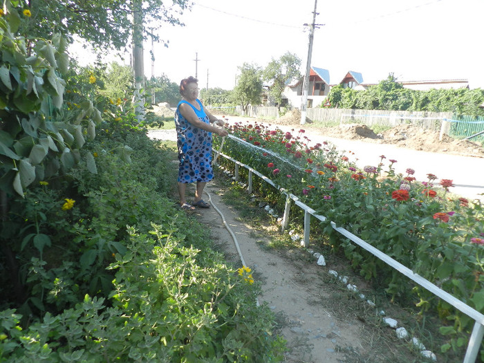 DSCN7425 - LA MAMA SILA SI TATA GOGULICA