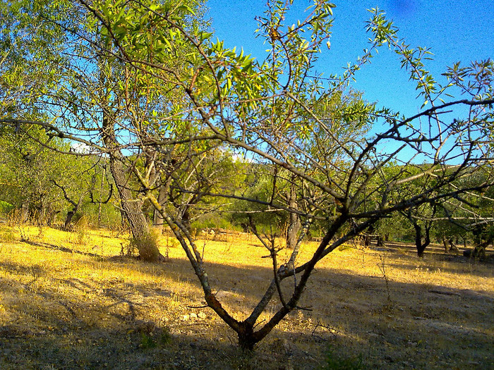 030820123402 - C Chovar zona muntoasa  parc natural