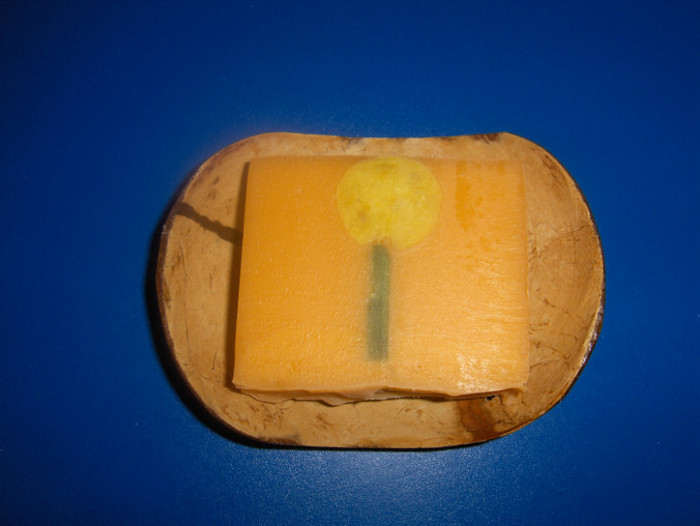 Pepene rosu, mult shea, u.e. portocale