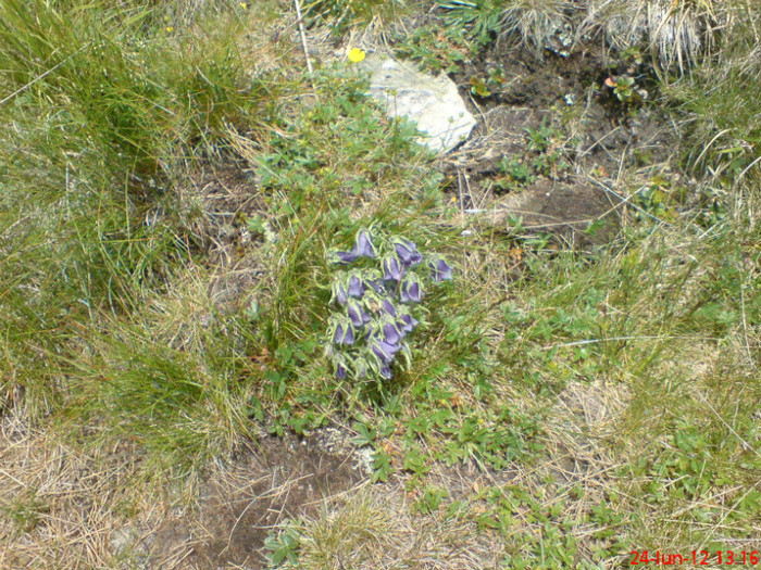 DSC05822