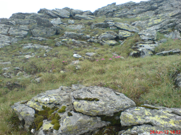 DSC05835