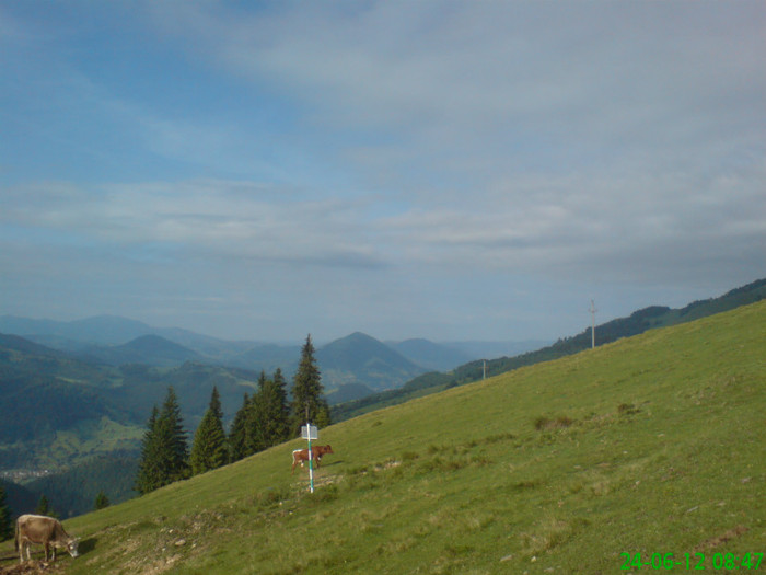 DSC07919 - Muntii Rodnei