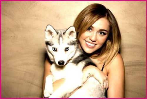 Miley-Cyrus-Floyd_large - fete_vedete