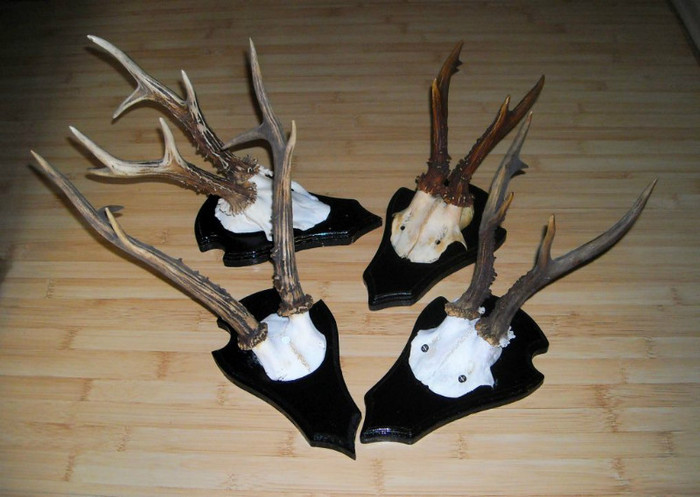 1. Pachet de patru capriori_575 de lei