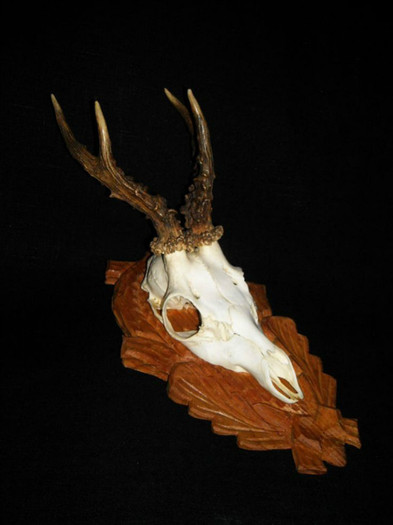 Caprior abnorm3 = 275 de lei