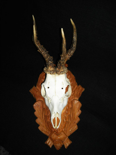 Caprior abnorm3,. = 275 de lei