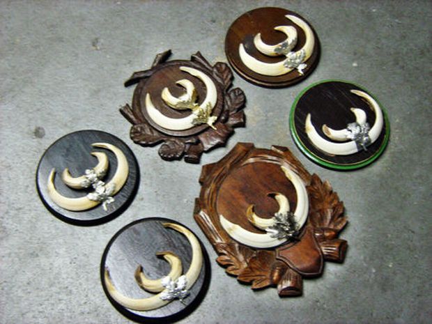 Colectie de colti2 = 825 de lei.