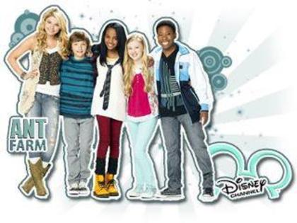 421178_257606747660507_393998789_n