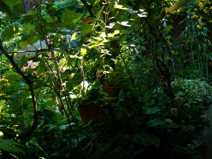 DSCN0066 - August 2012