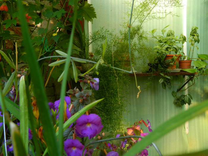 DSCN9963 - August 2012