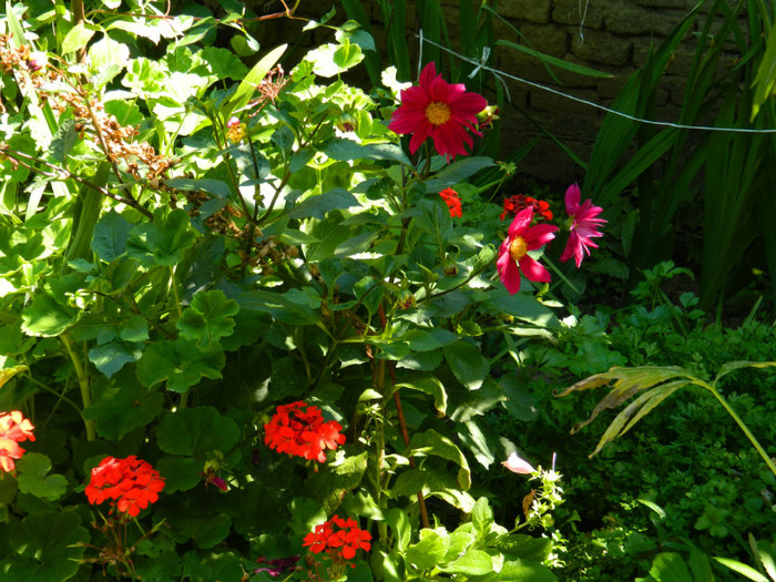 DSCN9987 - August 2012