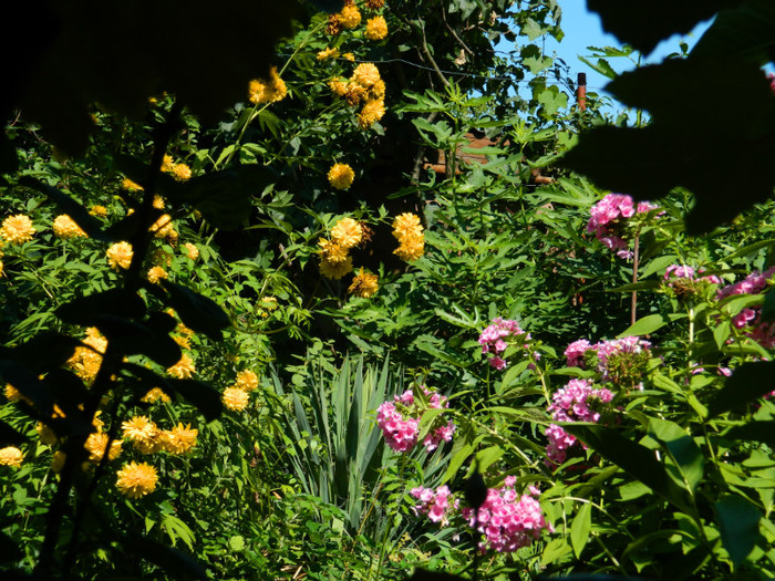 DSCN9988 - August 2012