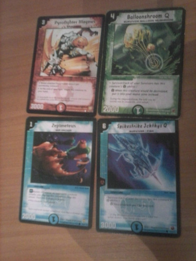 CAM00160 - duel masters_2012