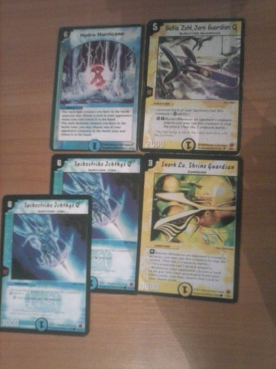 CAM00161 - duel masters_2012