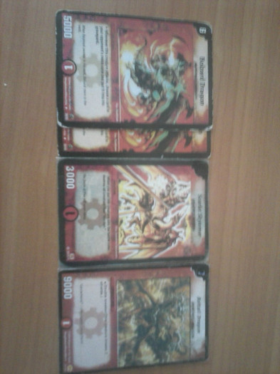 CAM00170 - duel masters_2012