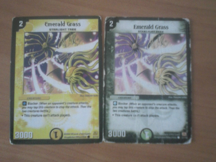 CAM00194 - duel masters_2012