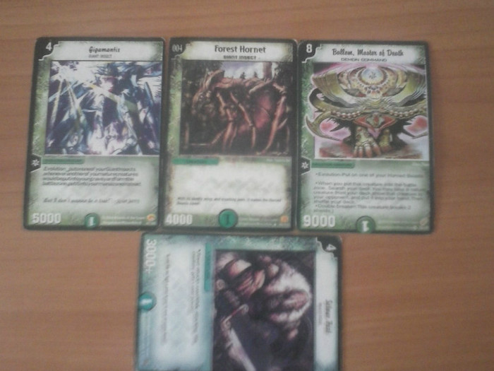 CAM00197 - duel masters_2012