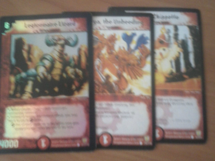 CAM00208 - duel masters_2012