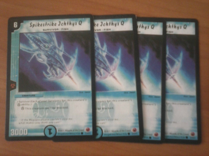 CAM00214 - duel masters_2012