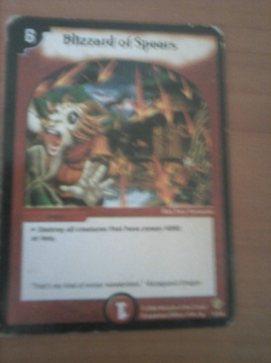 CAM00215 - duel masters_2012