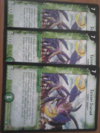 CAM00217 - duel masters_2012