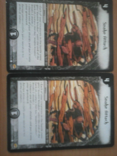 CAM00218 - duel masters_2012