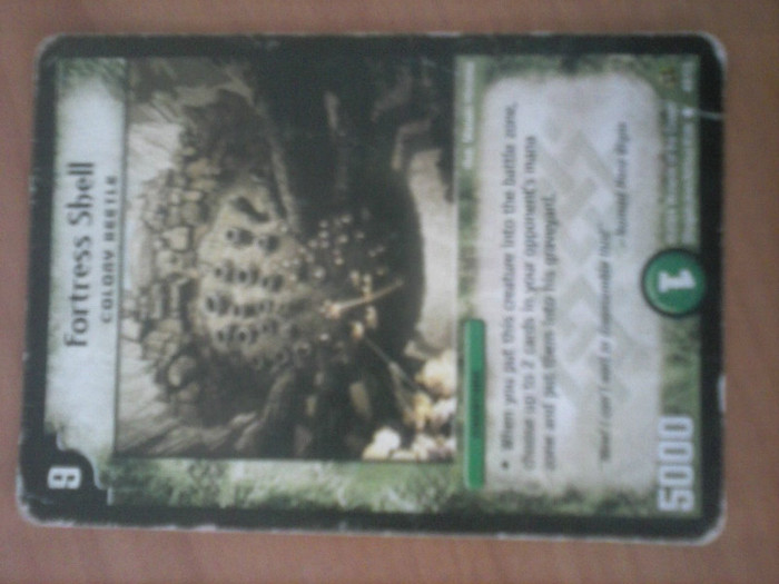 CAM00239 - duel masters_2012