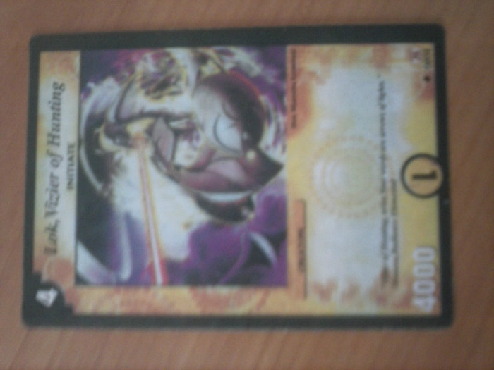 CAM00243 - duel masters_2012