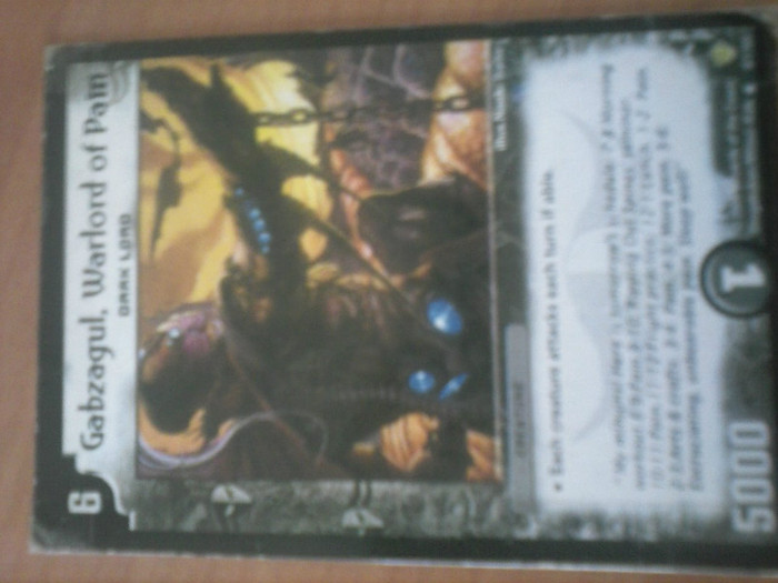 CAM00248 - duel masters_2012