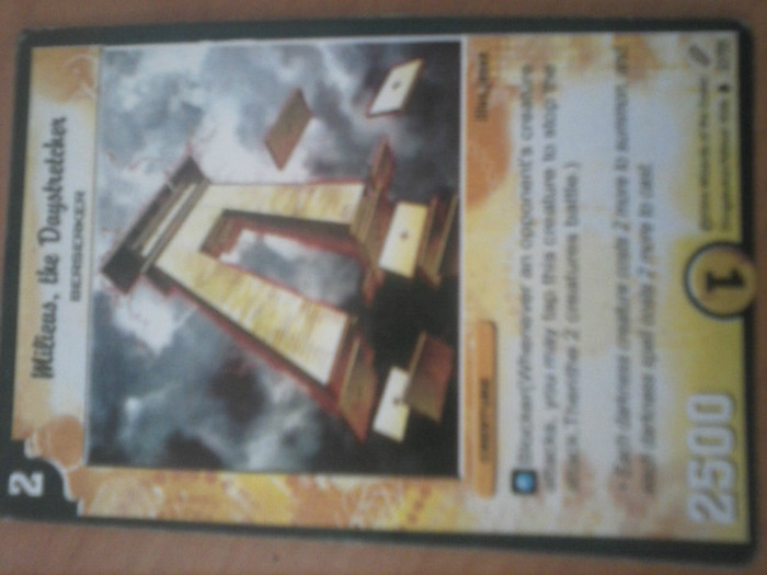 CAM00251 - duel masters_2012