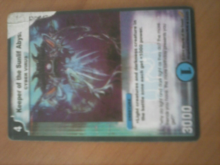 CAM00252 - duel masters_2012