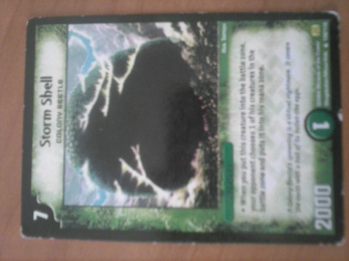 CAM00255 - duel masters_2012