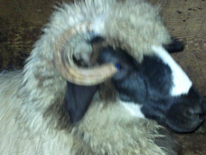 300720121600 - mieii mei 2012