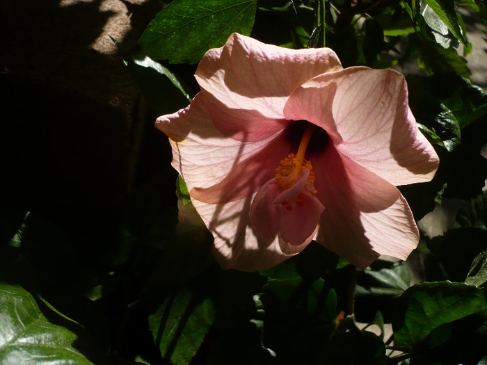 P1160625