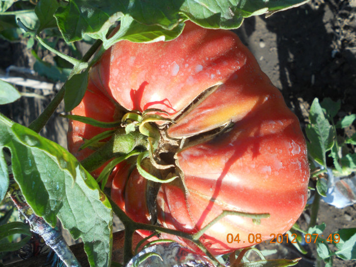 DSCN1801