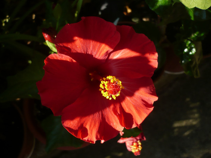 P1160676