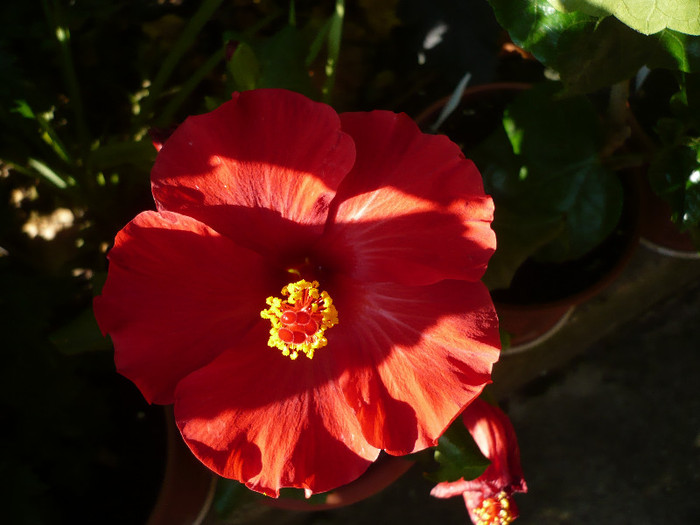 P1160677