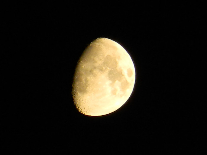 DSCN2437 - Luna - asa cum o vad eu- iulie 2012
