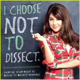 208945_426923463996675_440618001_n - Daniella Monet - Facebook Profile Pictures