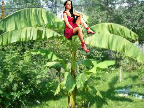 ce faci,bhai super ratoi??Ma salvezi?Zboara,ratoiule,zboara!! - episodul 7