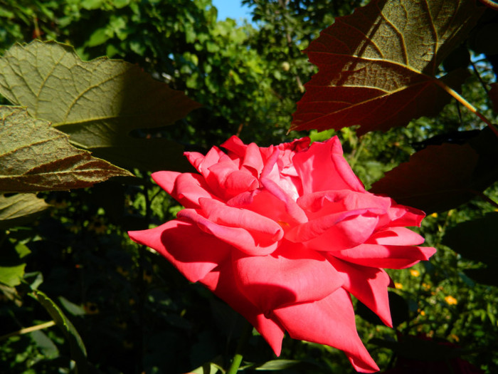 DSCN0159