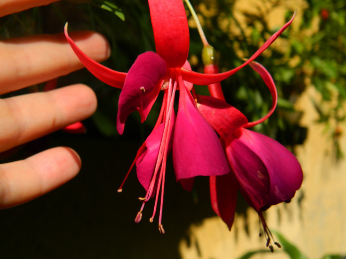 DSCN0173