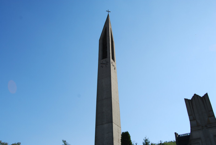 DSC_3139