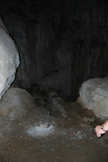 DSC_3392 - ziua 3