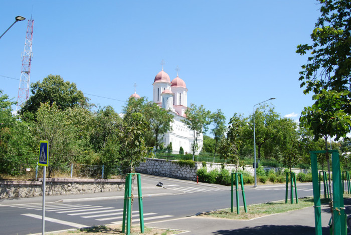 DSC_3506 - ziua 3