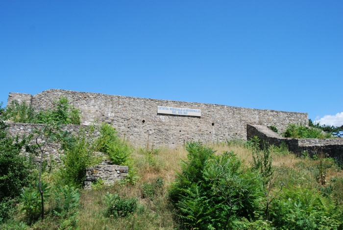 DSC_3541 - ziua 3